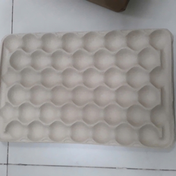 HỘP ĐỰNG TRỨNG BẰNG GIẤY - F18