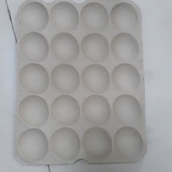 HỘP ĐỰNG TRỨNG BẰNG GIẤY - F18